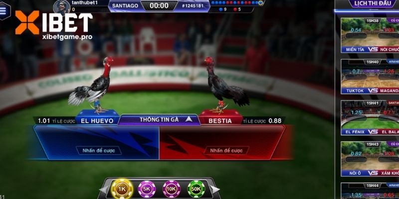 Giống gà phổ biến hiện nay