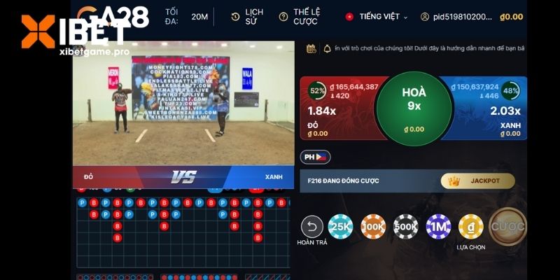 Tìm hiểu chung về đá gà trực tiếp hôm nay 